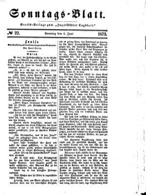 Ingolstädter Tagblatt. Sonntagsblatt (Ingolstädter Tagblatt) Sonntag 1. Juni 1873