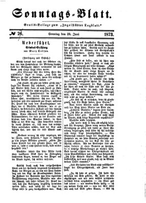 Ingolstädter Tagblatt. Sonntagsblatt (Ingolstädter Tagblatt) Sonntag 6. Juli 1873