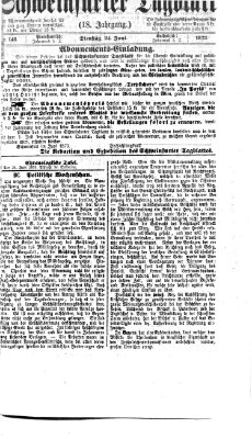 Schweinfurter Tagblatt Dienstag 24. Juni 1873