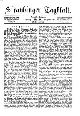 Straubinger Tagblatt Samstag 15. Februar 1873