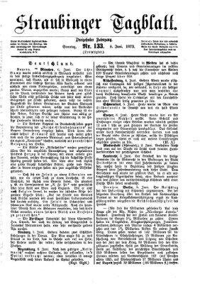 Straubinger Tagblatt Sonntag 8. Juni 1873