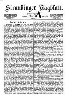 Straubinger Tagblatt Sonntag 22. Juni 1873