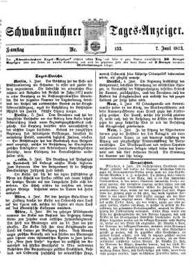 Schwabmünchner Tages-Anzeiger Samstag 7. Juni 1873