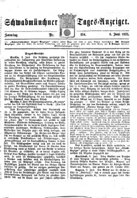 Schwabmünchner Tages-Anzeiger Sonntag 8. Juni 1873