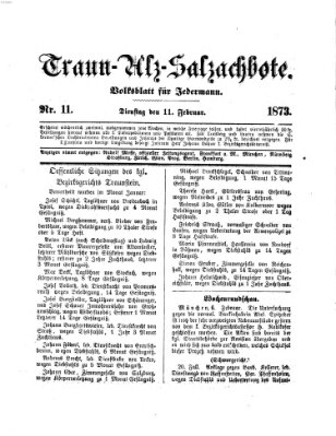 Traun-Alz-Salzachbote Dienstag 11. Februar 1873