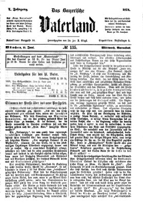 Das bayerische Vaterland Mittwoch 11. Juni 1873