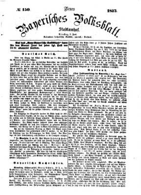 Neues bayerisches Volksblatt Dienstag 3. Juni 1873