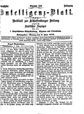 Aschaffenburger Zeitung. Intelligenz-Blatt : Beiblatt zur Aschaffenburger Zeitung ; zugleich amtlicher Anzeiger für die K. Bezirksämter Aschaffenburg, Alzenau und Obernburg (Aschaffenburger Zeitung) Montag 9. Juni 1873