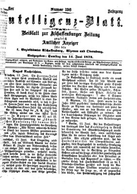 Aschaffenburger Zeitung. Intelligenz-Blatt : Beiblatt zur Aschaffenburger Zeitung ; zugleich amtlicher Anzeiger für die K. Bezirksämter Aschaffenburg, Alzenau und Obernburg (Aschaffenburger Zeitung) Samstag 14. Juni 1873