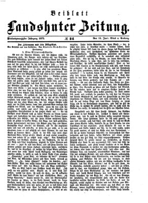 Landshuter Zeitung. Beiblatt zur Landshuter Zeitung (Landshuter Zeitung) Sonntag 15. Juni 1873