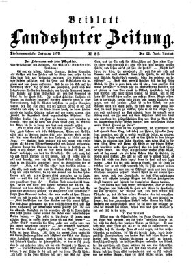 Landshuter Zeitung. Beiblatt zur Landshuter Zeitung (Landshuter Zeitung) Sonntag 22. Juni 1873