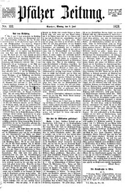 Pfälzer Zeitung Montag 9. Juni 1873