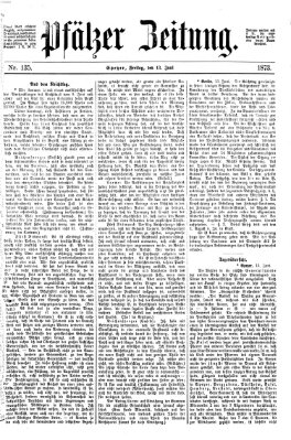 Pfälzer Zeitung Freitag 13. Juni 1873