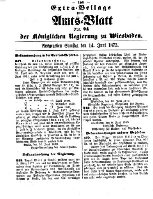 Amtsblatt der Regierung in Wiesbaden (Herzoglich-nassauisches allgemeines Intelligenzblatt) Samstag 14. Juni 1873