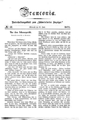 Franconia (Schweinfurter Anzeiger) Mittwoch 25. Juni 1873