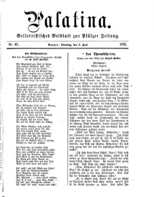 Palatina (Pfälzer Zeitung) Dienstag 3. Juni 1873