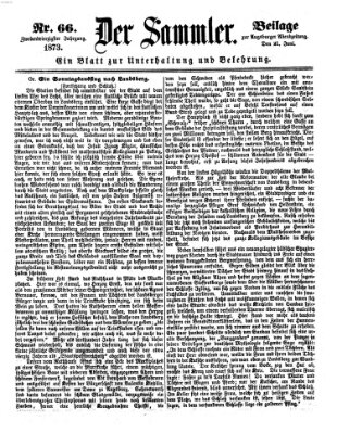 Der Sammler (Augsburger Abendzeitung) Samstag 21. Juni 1873