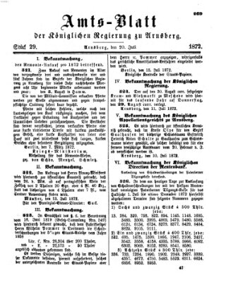 Amtsblatt für den Regierungsbezirk Arnsberg Samstag 20. Juli 1872