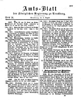 Amtsblatt für den Regierungsbezirk Arnsberg Samstag 3. August 1872