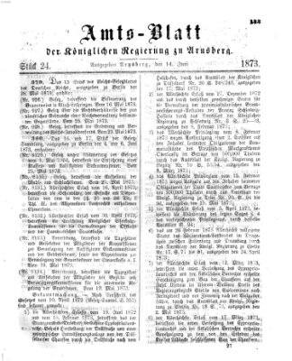 Amtsblatt für den Regierungsbezirk Arnsberg Samstag 14. Juni 1873