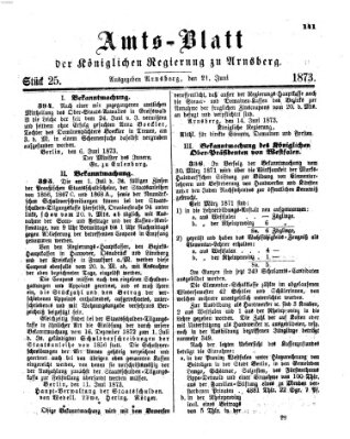 Amtsblatt für den Regierungsbezirk Arnsberg Samstag 21. Juni 1873