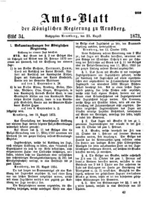 Amtsblatt für den Regierungsbezirk Arnsberg Samstag 23. August 1873