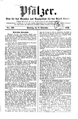 Pfälzer Sonntag 2. November 1873