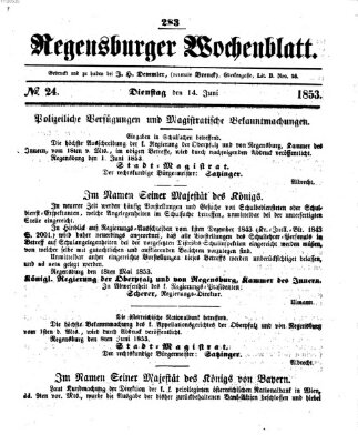 Regensburger Wochenblatt Dienstag 14. Juni 1853