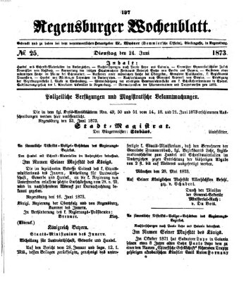 Regensburger Wochenblatt Dienstag 24. Juni 1873