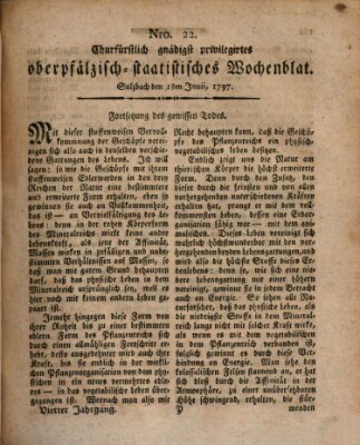 Churfürstlich gnädigst privilegirtes oberpfälzisch-staatistisches Wochenblat (Oberpfälzisches Wochenblat) Donnerstag 1. Juni 1797