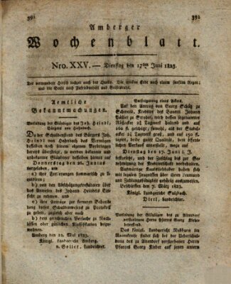 Amberger Wochenblatt (Oberpfälzisches Wochenblat) Dienstag 17. Juni 1823