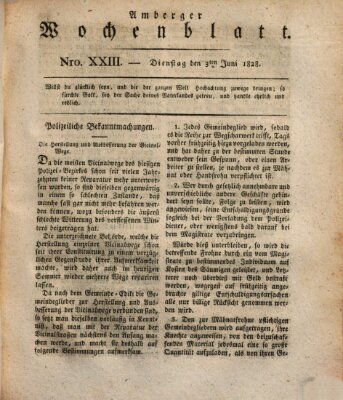 Amberger Wochenblatt (Oberpfälzisches Wochenblat) Dienstag 3. Juni 1828