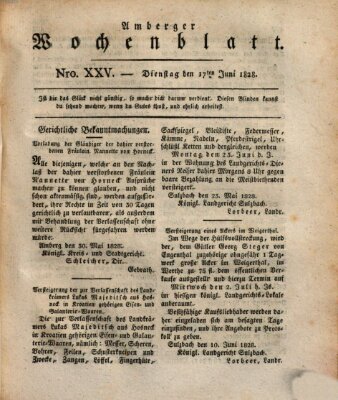 Amberger Wochenblatt (Oberpfälzisches Wochenblat) Dienstag 17. Juni 1828