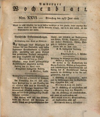 Amberger Wochenblatt (Oberpfälzisches Wochenblat) Dienstag 24. Juni 1828