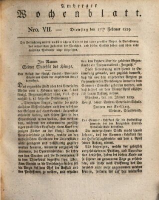 Amberger Wochenblatt (Oberpfälzisches Wochenblat) Dienstag 17. Februar 1829