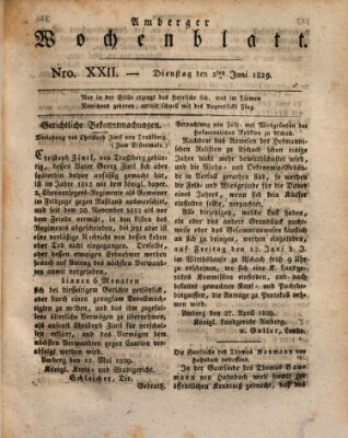 Amberger Wochenblatt (Oberpfälzisches Wochenblat) Dienstag 2. Juni 1829