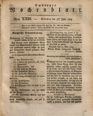 Amberger Wochenblatt (Oberpfälzisches Wochenblat) Dienstag 9. Juni 1829