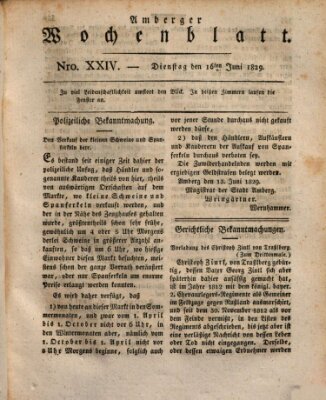 Amberger Wochenblatt (Oberpfälzisches Wochenblat) Dienstag 16. Juni 1829