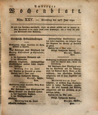 Amberger Wochenblatt (Oberpfälzisches Wochenblat) Dienstag 22. Juni 1830