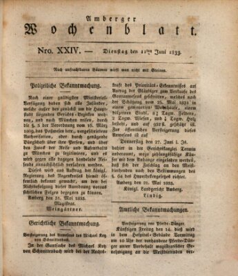 Amberger Wochenblatt (Oberpfälzisches Wochenblat) Dienstag 11. Juni 1833
