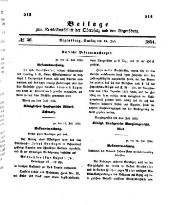 Königlich-bayerisches Kreis-Amtsblatt der Oberpfalz und von Regensburg (Königlich bayerisches Intelligenzblatt für die Oberpfalz und von Regensburg) Samstag 15. Juli 1854