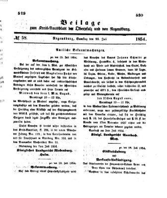 Königlich-bayerisches Kreis-Amtsblatt der Oberpfalz und von Regensburg (Königlich bayerisches Intelligenzblatt für die Oberpfalz und von Regensburg) Samstag 22. Juli 1854