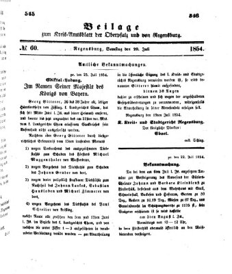 Königlich-bayerisches Kreis-Amtsblatt der Oberpfalz und von Regensburg (Königlich bayerisches Intelligenzblatt für die Oberpfalz und von Regensburg) Samstag 29. Juli 1854