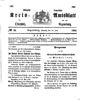 Königlich-bayerisches Kreis-Amtsblatt der Oberpfalz und von Regensburg (Königlich bayerisches Intelligenzblatt für die Oberpfalz und von Regensburg) Samstag 14. Juni 1856