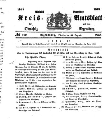 Königlich-bayerisches Kreis-Amtsblatt der Oberpfalz und von Regensburg (Königlich bayerisches Intelligenzblatt für die Oberpfalz und von Regensburg) Dienstag 30. Dezember 1856