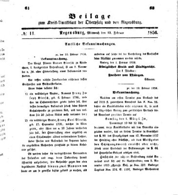 Königlich-bayerisches Kreis-Amtsblatt der Oberpfalz und von Regensburg (Königlich bayerisches Intelligenzblatt für die Oberpfalz und von Regensburg) Mittwoch 13. Februar 1856