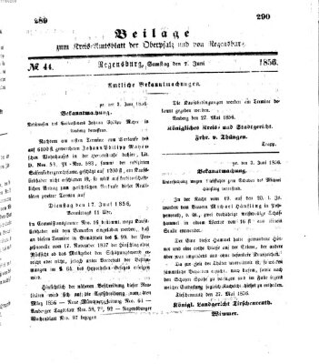 Königlich-bayerisches Kreis-Amtsblatt der Oberpfalz und von Regensburg (Königlich bayerisches Intelligenzblatt für die Oberpfalz und von Regensburg) Samstag 7. Juni 1856