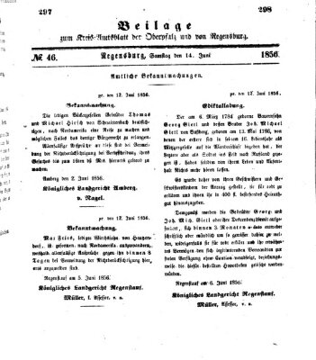 Königlich-bayerisches Kreis-Amtsblatt der Oberpfalz und von Regensburg (Königlich bayerisches Intelligenzblatt für die Oberpfalz und von Regensburg) Samstag 14. Juni 1856