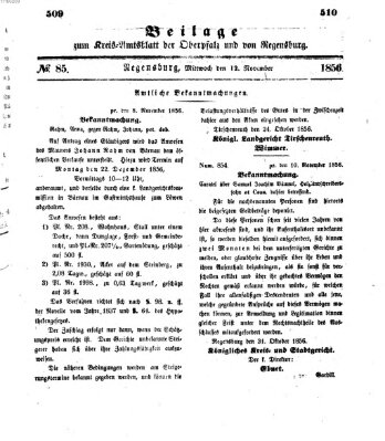 Königlich-bayerisches Kreis-Amtsblatt der Oberpfalz und von Regensburg (Königlich bayerisches Intelligenzblatt für die Oberpfalz und von Regensburg) Mittwoch 12. November 1856