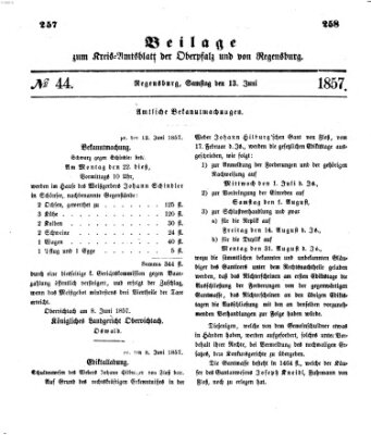 Königlich-bayerisches Kreis-Amtsblatt der Oberpfalz und von Regensburg (Königlich bayerisches Intelligenzblatt für die Oberpfalz und von Regensburg) Samstag 13. Juni 1857